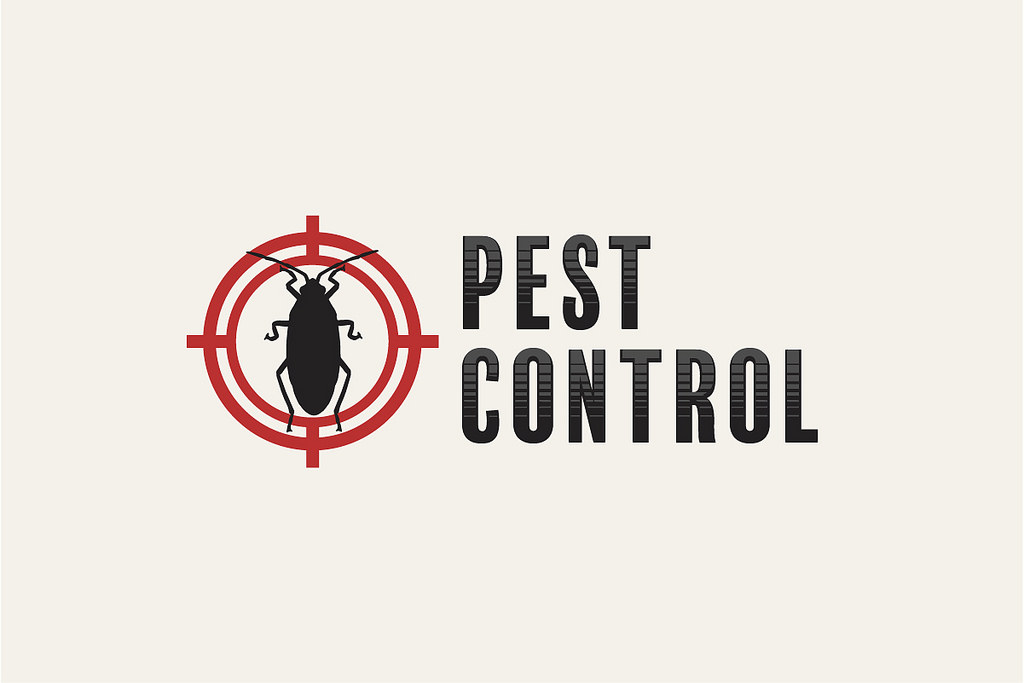 Top 4 Tips for Choosing the Right Pest Management Company